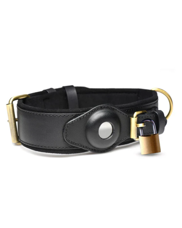 Collar De Seguimiento Rastreador
