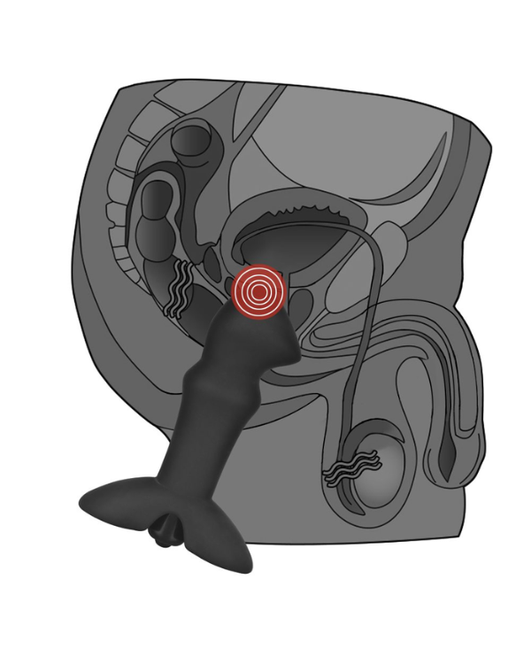 Plug Prostate Anal Indulgence