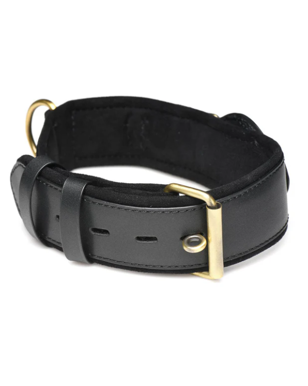 Collar De Seguimiento Rastreador