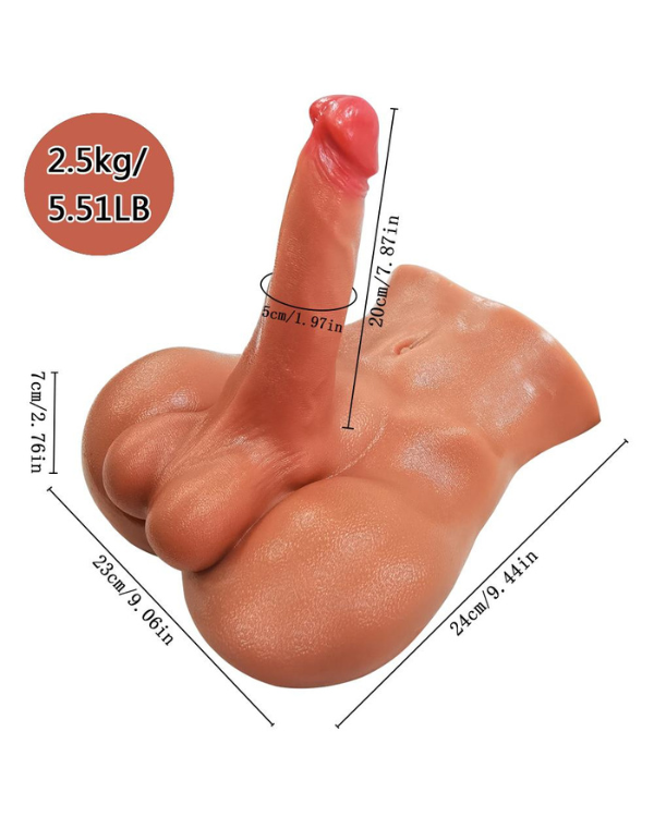 Torso Masculino Realista con Dildo y Ano 20 x 5 CM