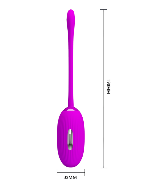 Shock Fun con Control Remoto y Electroshock
