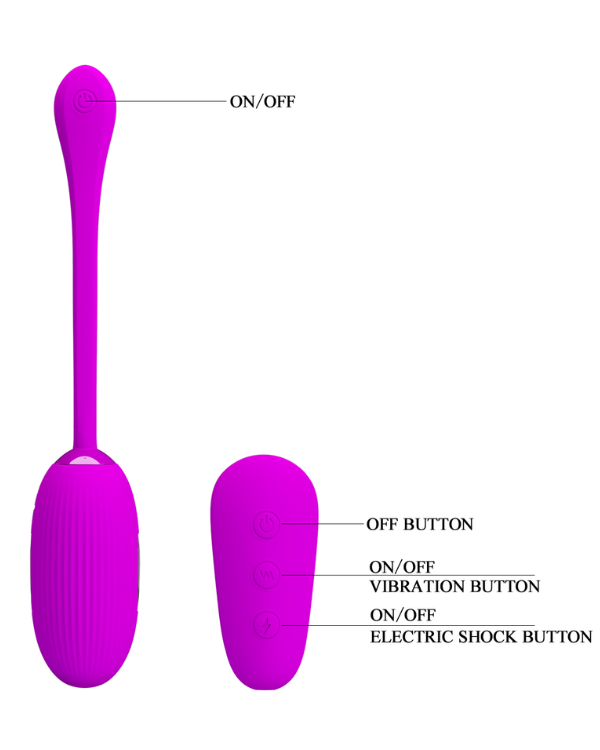 Shock Fun con Control Remoto y Electroshock