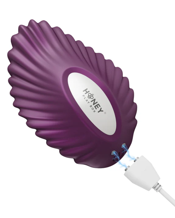 Vibrador Para La Ropa Interior Con Aplicación
