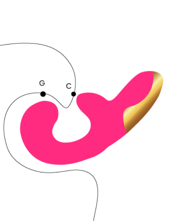 Vibrador Recargable Curvo – Estimulación Envolvente