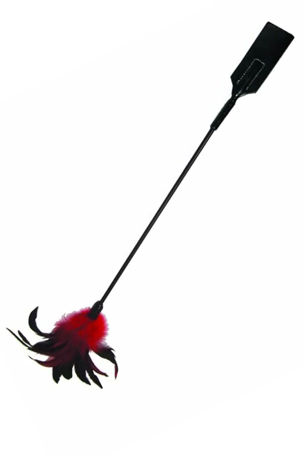 Roce y Dominio Fusta Erótica con Plumas