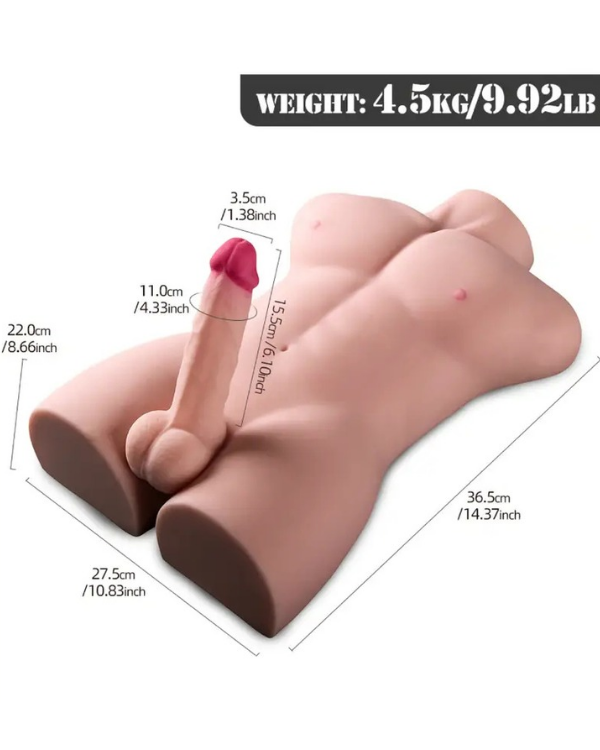 Torso Realistico Personal Trainer